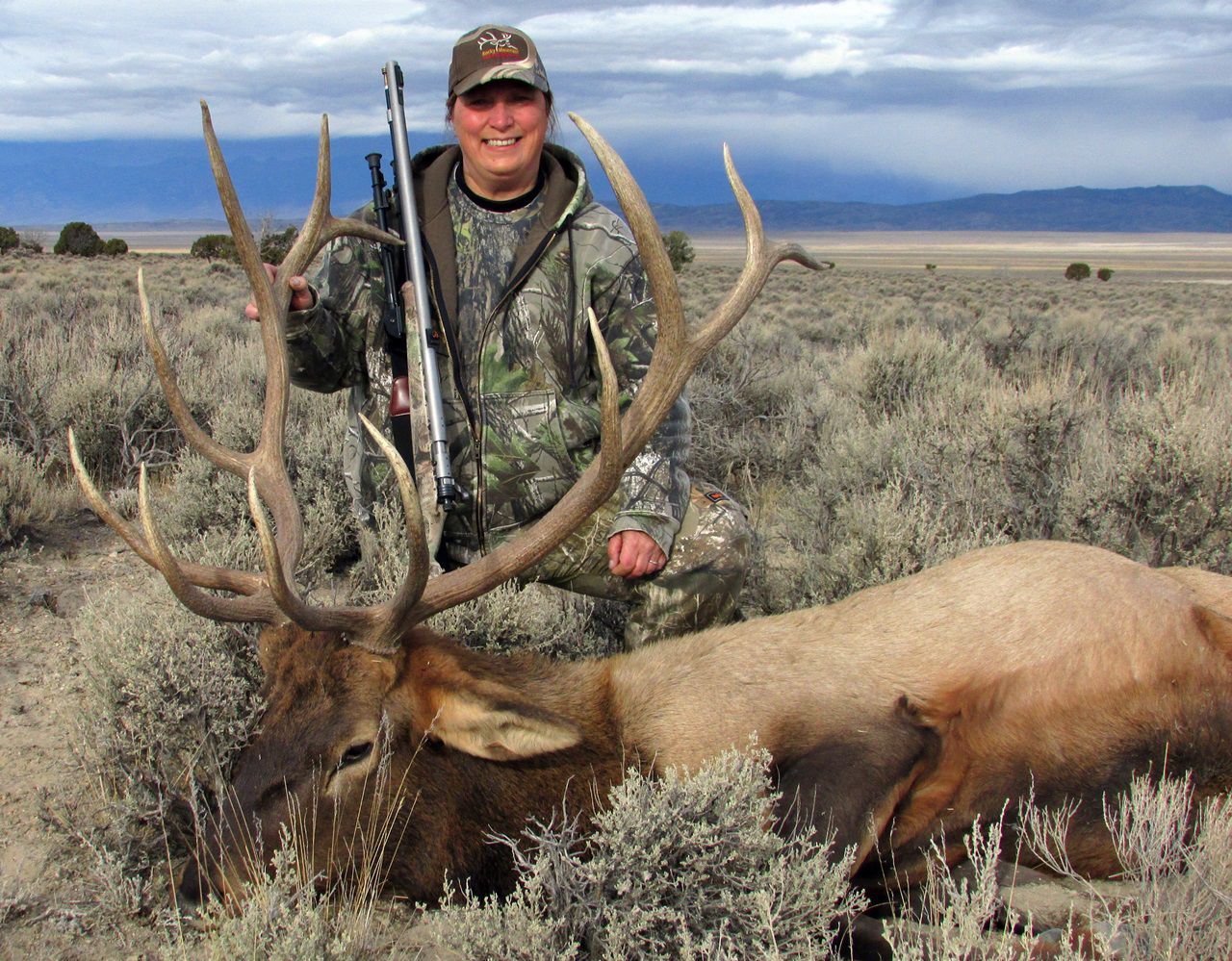 Porter elk